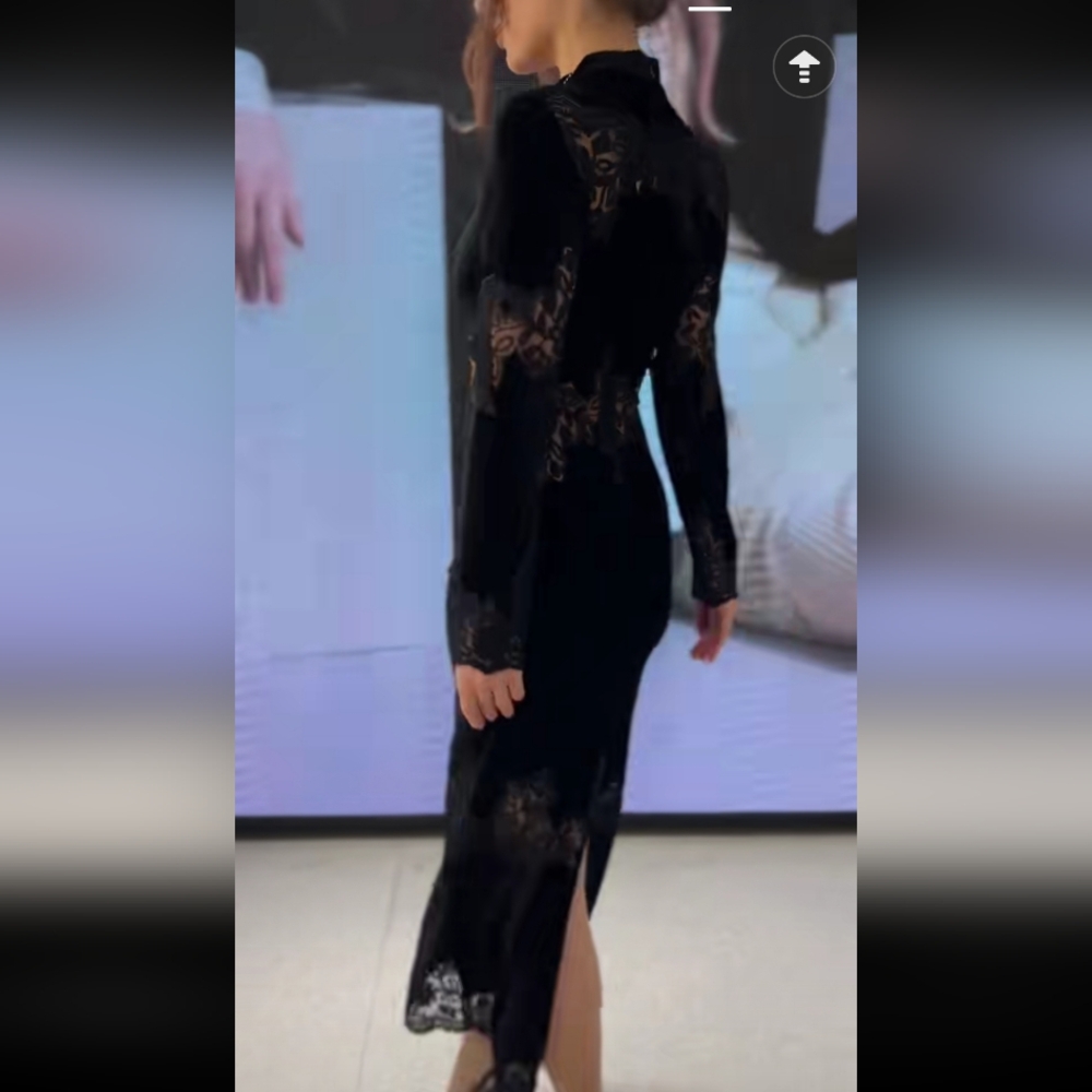 Zara Velvet Lace Dress - Picture 8 of 15